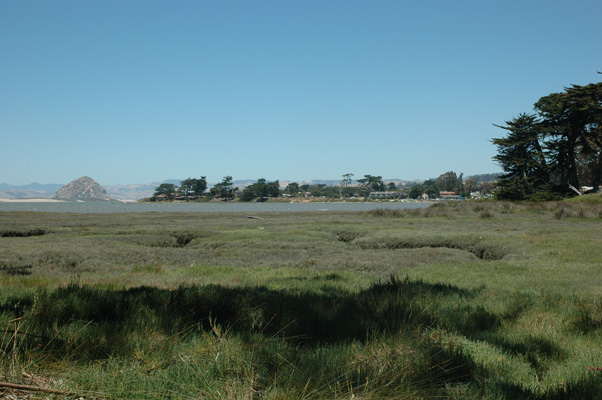 Morro Bay 021.JPG